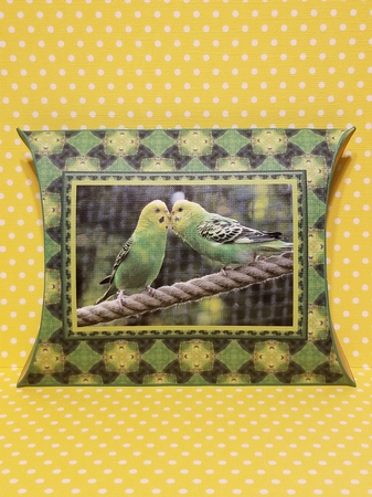JJ FRIENDS FOREVER BUDGERIGARS PILLOW BOX by Patty Stone