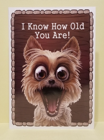 Shocked Dog by Patty Stone