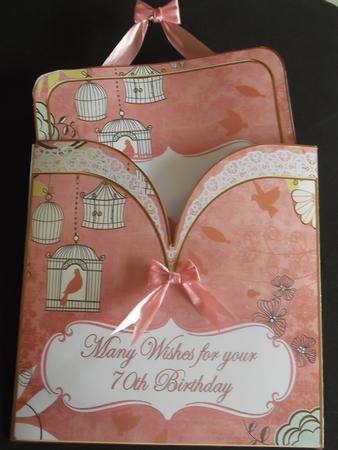 Pink Birdcage 70th Birthday Wishes Pocket Pull Kit by Paul Mawhinney