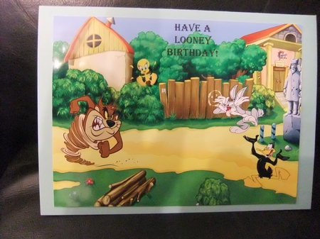 Looney Tunes Kit by Paula Savage