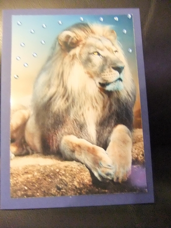 Lion A5 Quick Card by Paula Savage