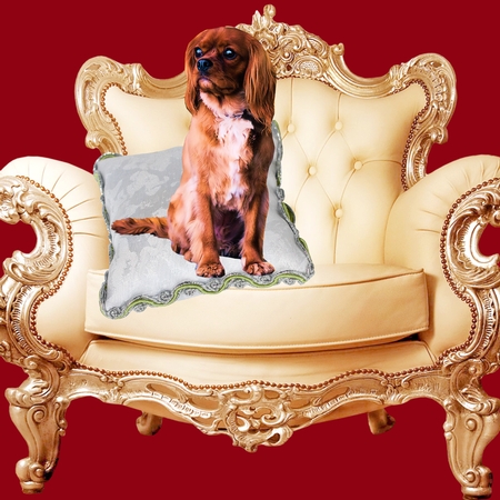 Dog Mix by Paula Savage