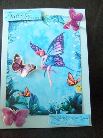 Butterfly Wishes by Paula Savage