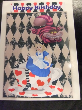 Alice Bumper Kit by Paula Savage