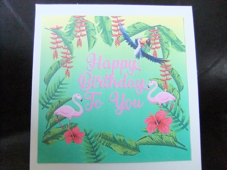 Tropical Paradise Bumper Kit by Paula Savage