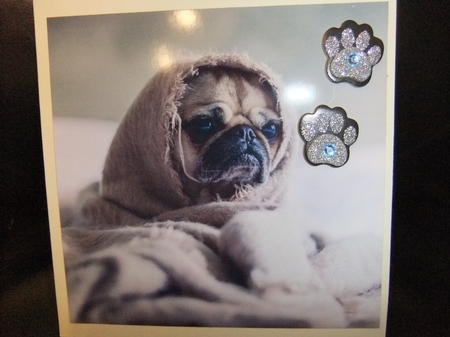 Cute Puppy 7 8x8 Quick Card by Paula Savage