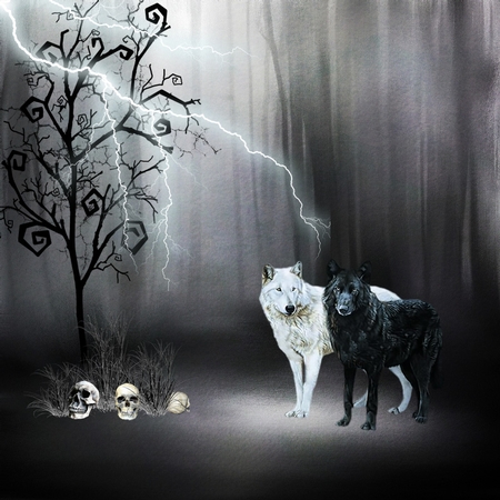 Shadows, kit from Bella Caribena  by Paula Savage