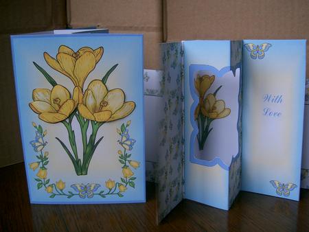 Internal Window Card - Yellow Crocus by paula taylor
