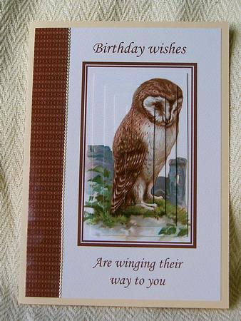Wise Old Owl Card Front by paula taylor