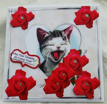 Kitty Kitty by Pauline Duncan