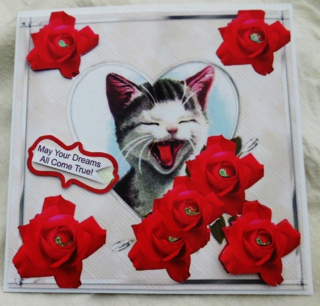 Kitty Kitty by Pauline Duncan