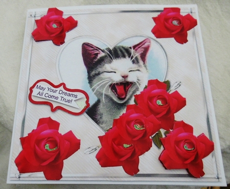 Kitty Kitty by Pauline Duncan