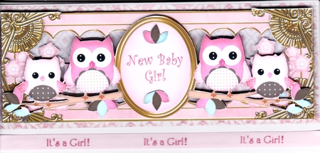 Pink Owls New Baby Girl Large Dl Decoupage Topper by Pauline Horsfall