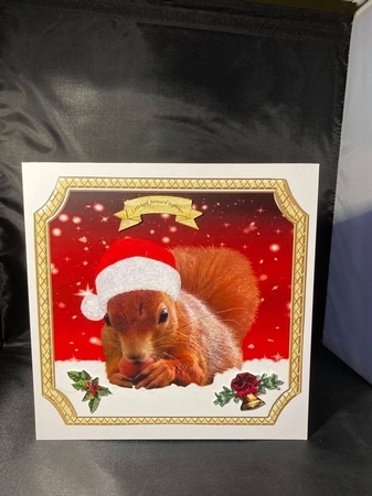 CHRISTMAS MULTI SENTIMENT SQUIRREL by pauline inglis