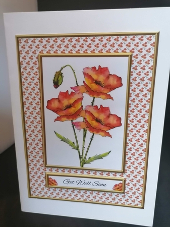 Lovely Poppies Get Well Topper (Card Four) by pauline inglis