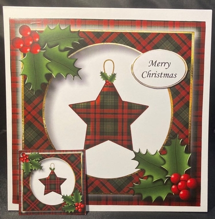 Tartan Christmas Star 1 8x8 by pauline inglis