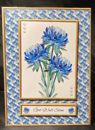 Lovely Floral Get Well Topper by pauline inglis