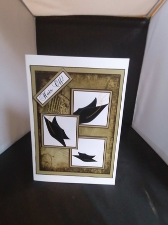 Graduation Camera by pauline inglis