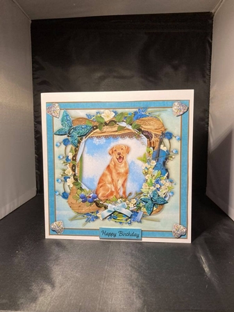 Spring Garden Labrador by pauline inglis