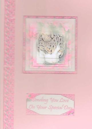 Beautiful Kitten Surrounded by Flowers by pauline inglis