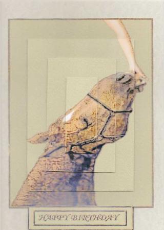The Helping Hand and Horse Pyramid by pauline inglis