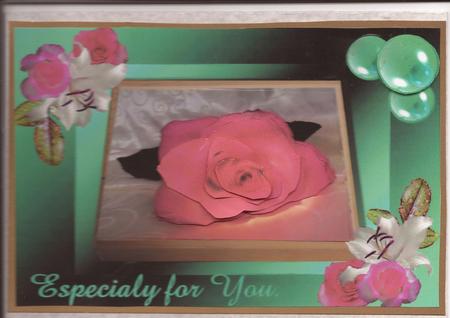 Boxed Rose by pauline inglis