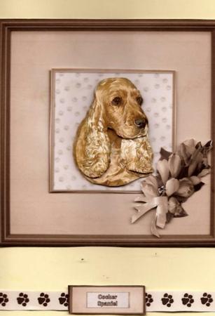 Cocker Spaniel Portrait by pauline inglis