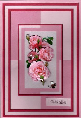 Pink Roses Delight by pauline inglis