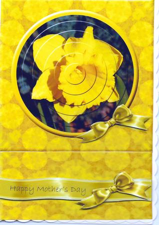 Daffodil a - Mothers Day by pauline inglis