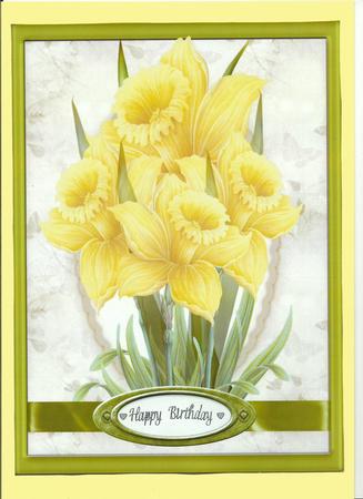 Beautiful Daffodils Standing Proud by pauline inglis