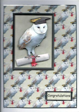 Barn Owl Congratulations 3D Decoupage & Background by pauline inglis