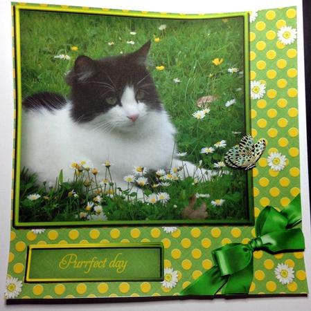 Purrfect Day by pauline inglis
