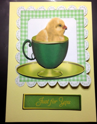 Little Chicks in Teacups in Gingham Toppers by pauline inglis
