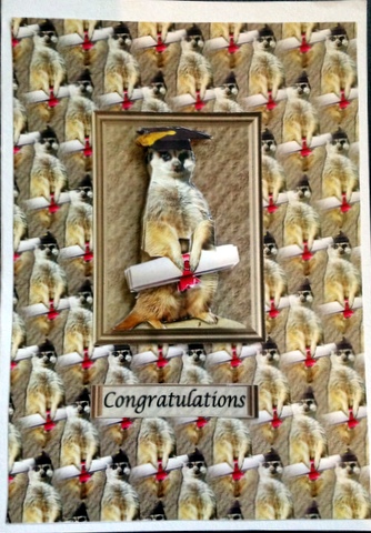 Meerkat Graduation 3D Decoupage & Background by pauline inglis
