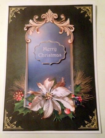 White Poinsettia Christmas Mirror by pauline inglis