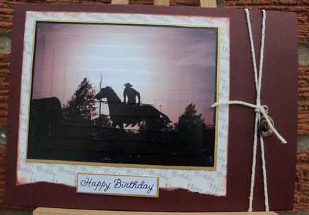 Cowboy in Moonlight by Pauline Worthington