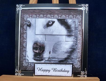 The Stare - Wolf Intertwined Pyramid Card by Pauline Worthington