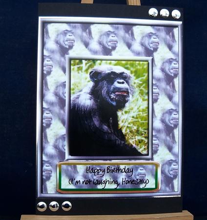 Cheeky Chimp by Pauline Worthington