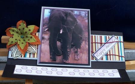 African Elephant1 3D Decoupage by Pauline Worthington