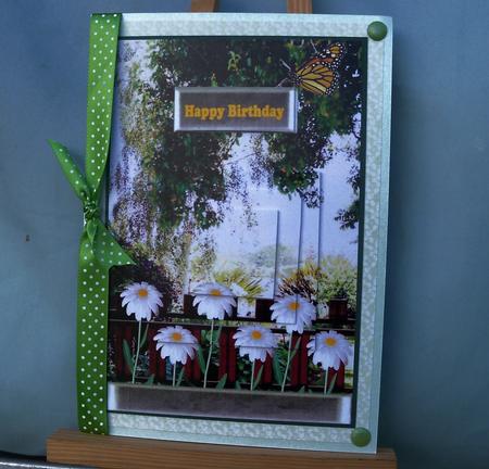 Garden Birthday by Pauline Worthington