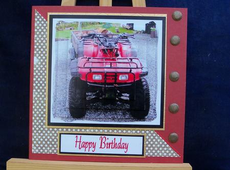 Quad Bike by Pauline Worthington