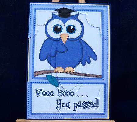 A5 Wise Owl Congrats Felties Scallop Corners N Pyramage by Pauline Worthington