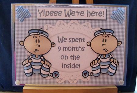 Yipeee the Twin Boys Are Here by Pauline Worthington