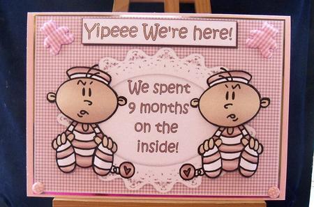 Yipeee the Twin Girls Are Here by Pauline Worthington