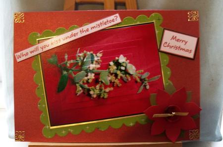 Mistletoe by Pauline Worthington