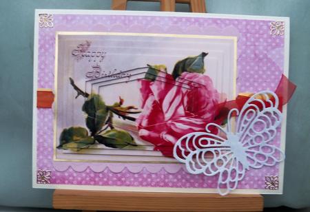 Birthday Rose by Pauline Worthington