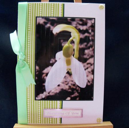 Snowdrop Pyramid by Pauline Worthington