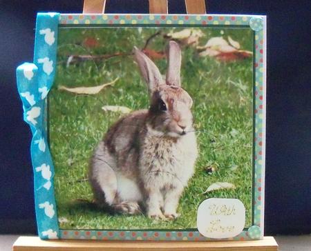 Cute Rabbit Shell Edged Corner Stacker by Pauline Worthington