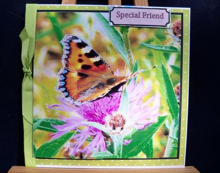 Butterfly Shell Edged Corner Stacker by Pauline Worthington