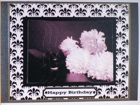 Black and White Flower Contempary by Pauline Worthington